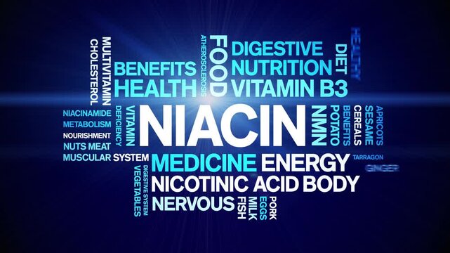 Niacin animated word cloud;text design animation tag kinetic typography seamless loop.