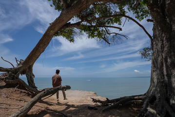 Fototapeta premium A man sits alone near a large tree on a cliff near the beach. A man looks at the ocean view on a cliff near the beach on a sunny day