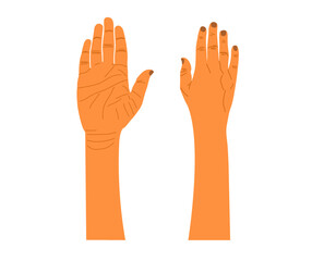 Obraz premium male female anatomy line art hand. male or female hand back or front view. Human hand back and palm view vector illustration.