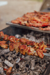Shish kebab made from marinated chicken and cooked on barbecue grill over charcoal. Traditional barbecue picnic food. Outdoor food concept.