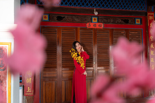 Vietnamese girl with Ao Dai dress standing in traditional house of Vietnam. Text in photo mean best wishes to family, happiness, prosperity, health. Tet holiday and New Year.
