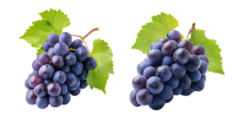 Obraz premium Set of Grape fruit fresh isolated on transparent background