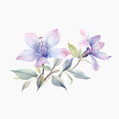 Delicate watercolor floral illustration