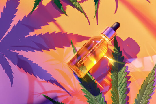 CBD oil dropper bottle with fresh cannabis leaves on a vibrant orange purple background in sunlight. Top view, flat lay, copy space