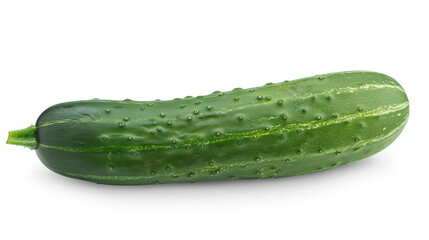 cucumber isolated on white background, close up