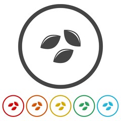 Seed icon. Set icons in color circle buttons