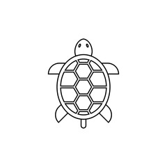 Turtle Illustration Icon