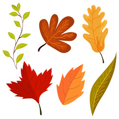 set of autumn leaves. vector illustration 