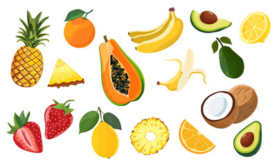 Set of citrus fruit icons of whole and slices. Natural tropical fruits.  Papaya, banana, avocado, pineapple, coconut, strawberry, orange, lemon. Vector illustration. IsolatedlatedSet of citrus fruit i