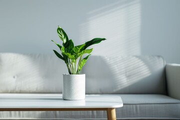A serene indoor environment featuring a green plant elegantly placed on a minimalist table beside a cozy couch.
