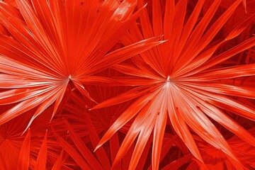 Living Coral color of the Year 2019. Background with palm in trendy color