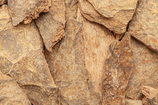 Close-up of Dry Organic Beechwood or Gambhari (Gmelina Arborea) barks, Full-Frame wallpaper. Top View