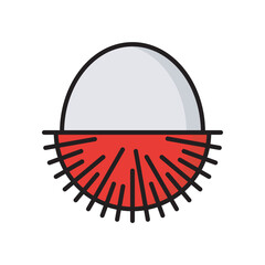 Tropical Fruit Illustration