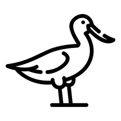 avocet Line Icon