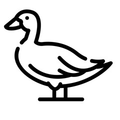 duck Line Icon