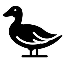 duck Solid icon