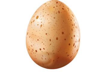 Illustrated Egg Design, Isolated on White Background