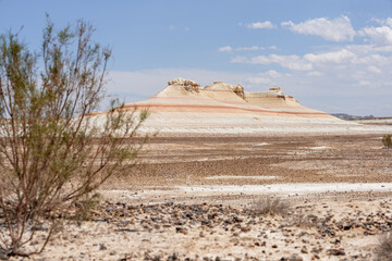 Poor flora does not make the Kyzylkup tract less picturesque and interesting. Kazakhstan, Mangystau Region.