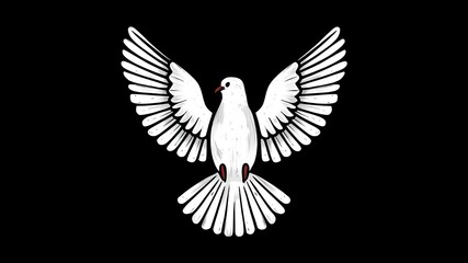 A white dove in flight against a stark black background. Sign of freedom.