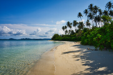Untouched beautiful beach of Sikandang Island in Sumatra, where pristine sandy beaches meet crystal clear waters, framed by lush palm trees under a vibrant blue sky.