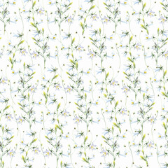 Campanula, soft lilac, white, blue bells, flowers, gentle leaves, spring summer floral elements seamless pattern  on a white background. Stock illustration. Hand painted in watercolor.