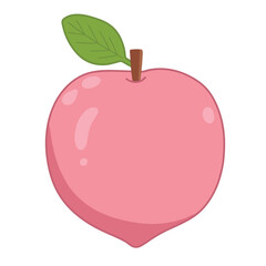 Vector cute peach fruit is isolated on the white background