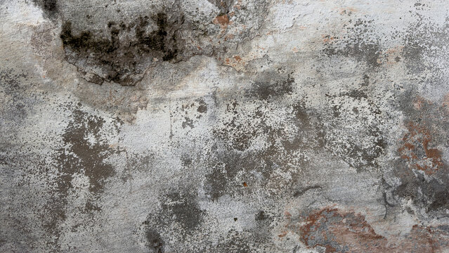 Gray Wall Wallpaper with copy-space. Premium Urban Concrete Texture Background.