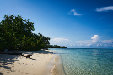 Untouched beautiful beach of Sikandang Island in Sumatra, where pristine sandy beaches meet crystal clear waters, framed by lush palm trees under a vibrant blue sky.