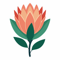 Proteus graphically drawing the logo. Protea flower vector art illustration. Vector tropical leaves.