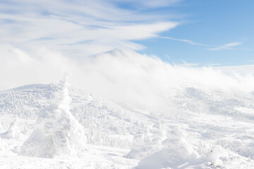 Fototapeta premium Landscape view of snow covered tree and snow ground on snow mountain with blue sky