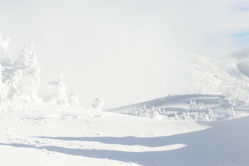 Landscape view of snow mountain with snow covered tree in hazy weather day