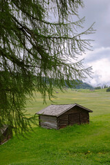 Scenic panoramic view of Dolomites mountain scenery with meadow, traditional wooden mountain huts at Alpe di Siusi in spring, summer. South Tyrol in the fog, northern Italy, National Park, Alps, Italy