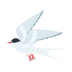 キョクアジサシ。フラットなベクターイラスト。
Arctic tern. Flat vector illustration.