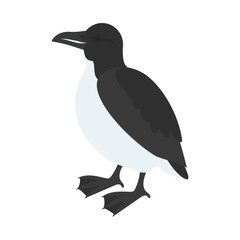 ハシブトウミガラス。フラットなベクターイラスト。
Brünnich's guillemot (thick-billed murre). Flat vector illustration.