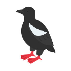 ハジロウミバト。フラットなベクターイラスト。
Black guillemot. Flat vector illustration.