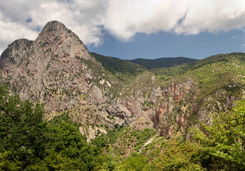 View of beautiful mountains and forest on a sunny, summer day