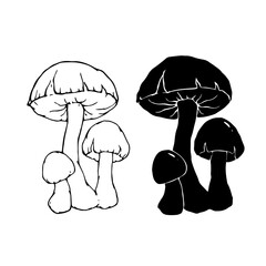 Linear sketch, silhouette, stamp of wild mushrooms toadstools. Vector graphics.