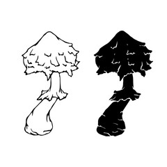 Linear sketch, silhouette, stamp of wild mushrooms toadstools. Vector graphics.