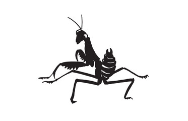 Graphical mantis isolated on white background, vector illustration. Insect black silhouette 