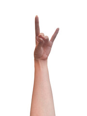 狐を表した女性の左手1