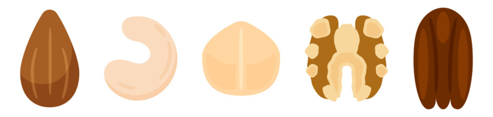 様々なナッツのベクターイラストセット(アーモンド、カシューナッツ、マカデミアナッツ、くるみ、ピーカンナッツ)。