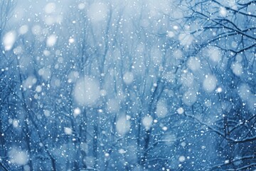 Snowfall Creates a Dreamy Winter Wonderland: A Concept