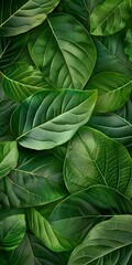 Luxurious Green Leaves: A Detailed Close-Up of Lush Foliage Highlighting Nature's Intricate Veins and Rich, Vivid Hues