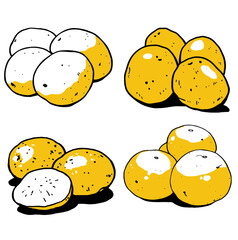 じゃがいものシンプルイラスト