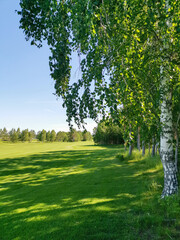 Summer park