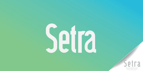 Elegant Minimalist Serif Alphabet Font Collection – Classic and Modern Lettering
