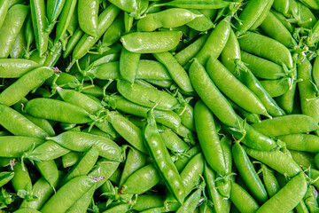 Sweet green garden peas in pods on horizontal surface close-up, plant texture for background.