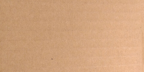 Brown craft paper cardboard texture. Background of kraft paper recycled closeup. Vector