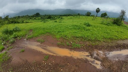 A serene meadow features a muddy path surrounded by lush greenery, all beneath a soft, cloudy sky.