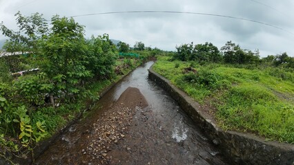 A narrow water canal surrounded by vibrant green crops, dependent on seasonal rainfall for agricultural support.